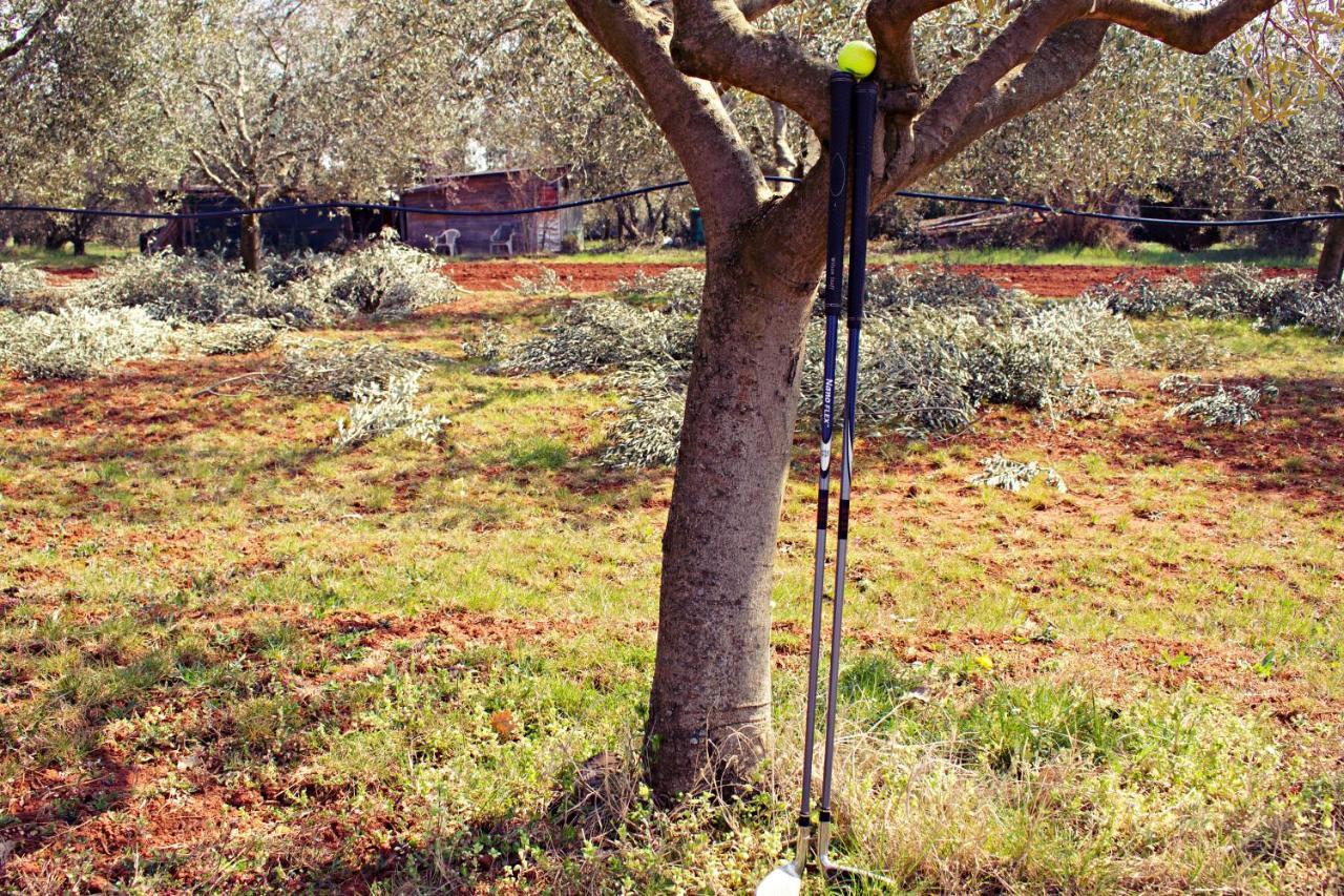 Blue Deer Lejlighed Umag Eksteriør billede